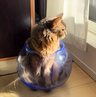 脱ぎたてのズボンに謎の生物