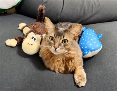 脱ぎたてのズボンに謎の生物