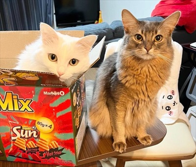 脱ぎたてのズボンに謎の生物