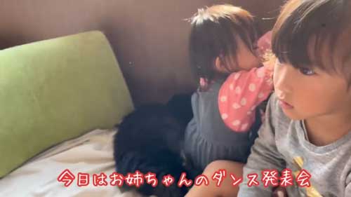 お姉ちゃん 発表会 緊張 娘 猫 ゴロン 寝転がる お腹 見せる へそ天