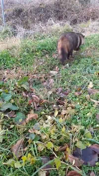 酔っぱらっていたのかもしれません