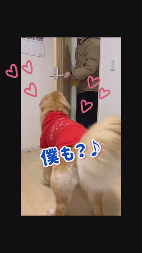 出掛ける飼い主とワンコ