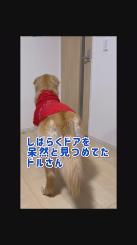 一緒のおでかけだと思ったら……