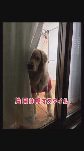 一緒のおでかけだと思ったら……