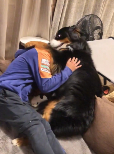 パパさんに抱きしめてもらったバーニーズ・マウンテン・ドッグ