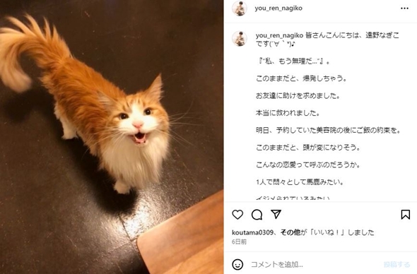 遠野なぎこ破局