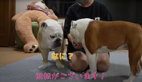 朗報がございます