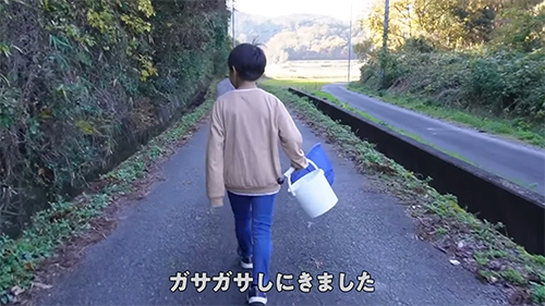 ガサガサしにきました