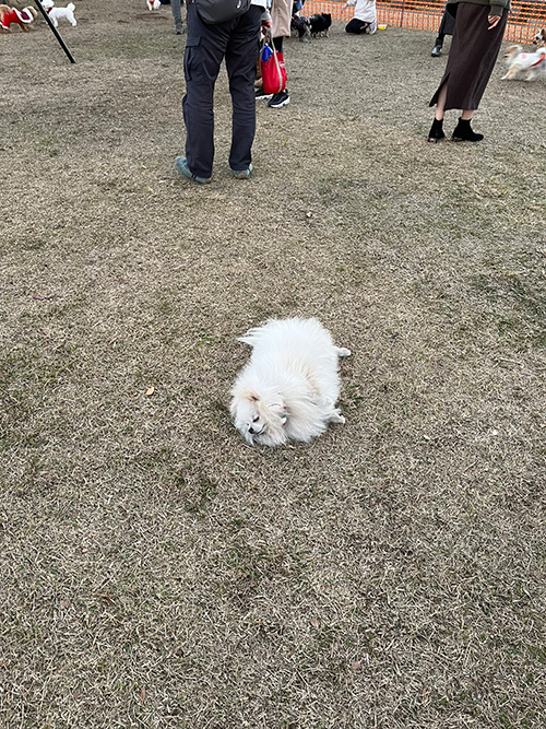 1枚目