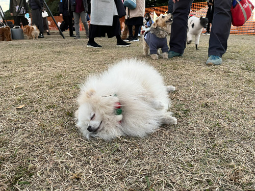 2枚目