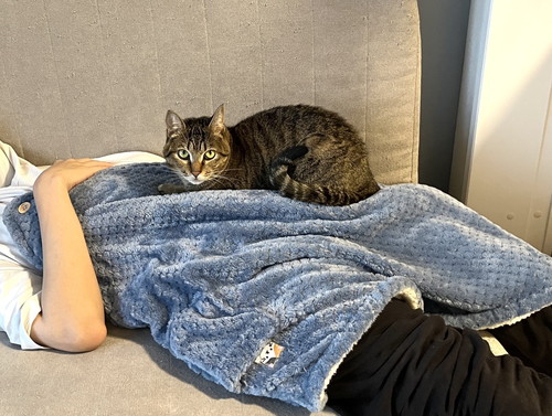 成長したあめちゃん