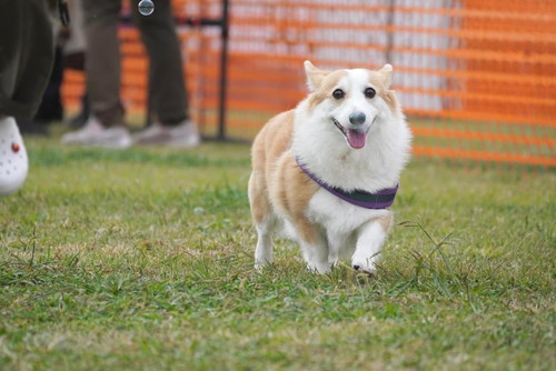 つむぎちゃん