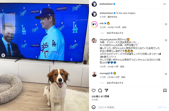 愛犬“デコピン”も会見を見ていた様子