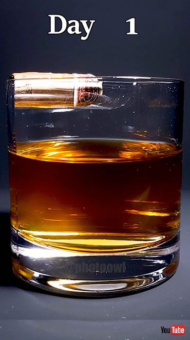 タイムラプス 実験 ウィスキー