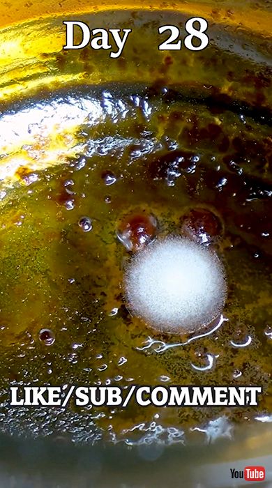 タイムラプス 実験 ウィスキー