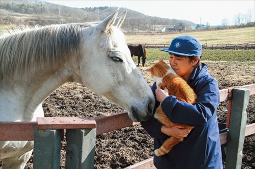 ボス猫メトとメイショウドトウ