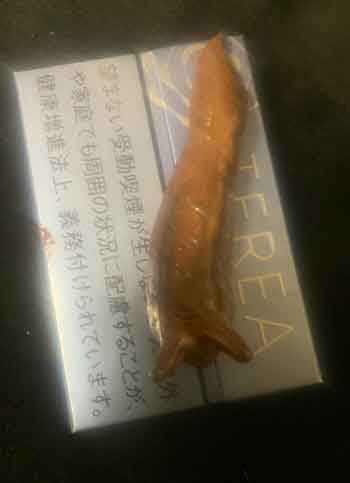 傘 盗難 防止 チャーム ナメクジ 盗まれない 粘土細工