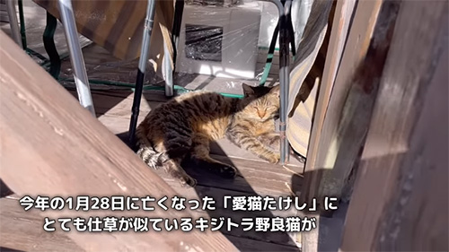 2023年の1月28日に