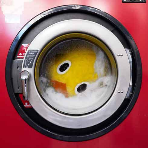 チキンラーメン ひよこちゃん 公式 洗濯