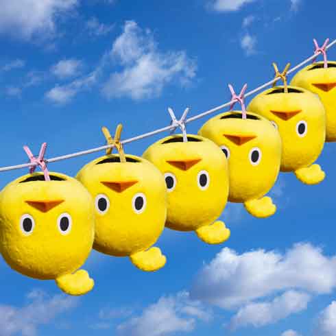 チキンラーメン ひよこちゃん 公式 洗濯