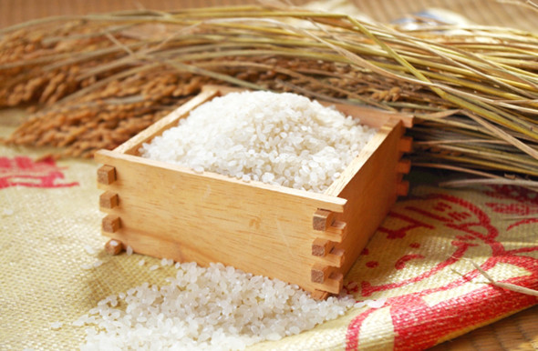 米 コシヒカリ 収穫量