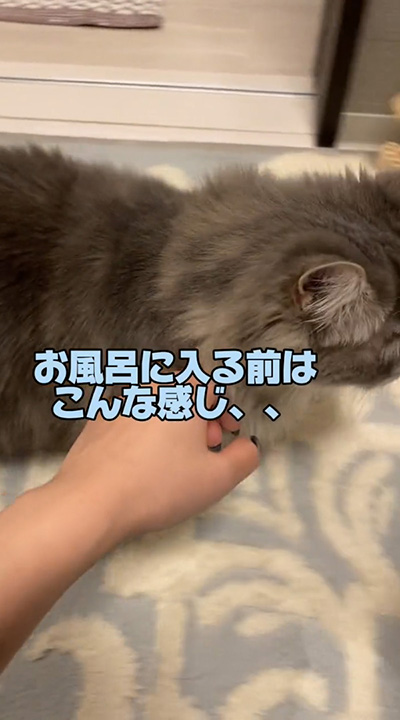 お風呂に入る前