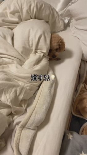 自由なココちゃん