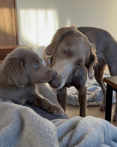 ティナちゃんとセスくん