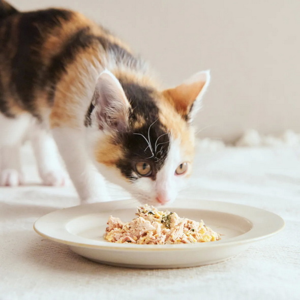 ペトコト 猫 暖房