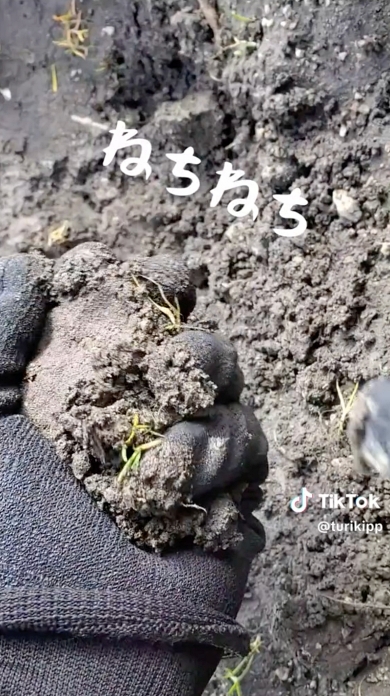 土作り 農耕 100日後