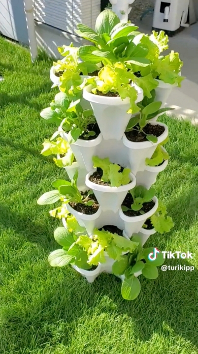 土作り 農耕 100日後