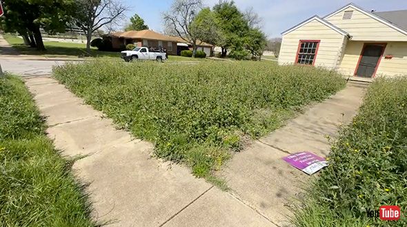 ボランティア 芝刈り 空き家