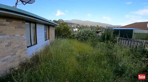 掃除 掃除 雑草