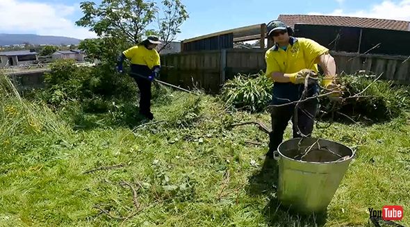 掃除 掃除 雑草