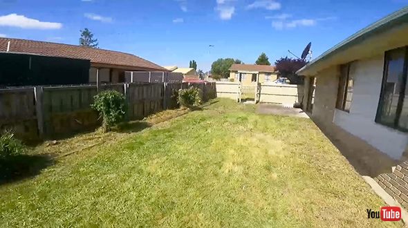 掃除 掃除 雑草