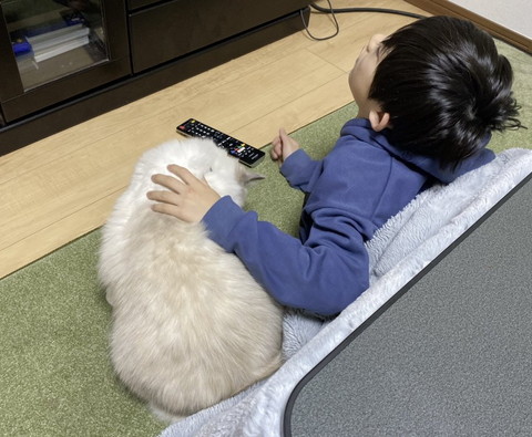 こたつに入る子供と猫