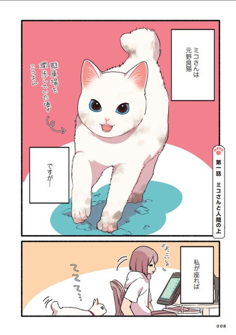 猫