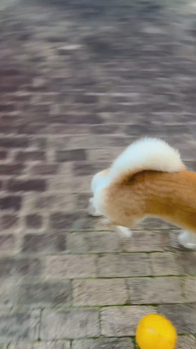 しかしぐるっと回って……