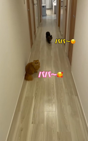 おすすめ