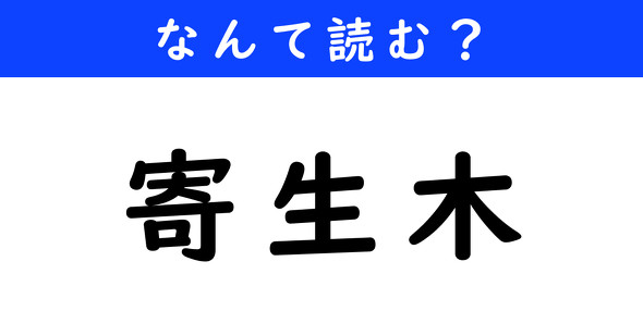 漢字クイズ　難読漢字　寄生木