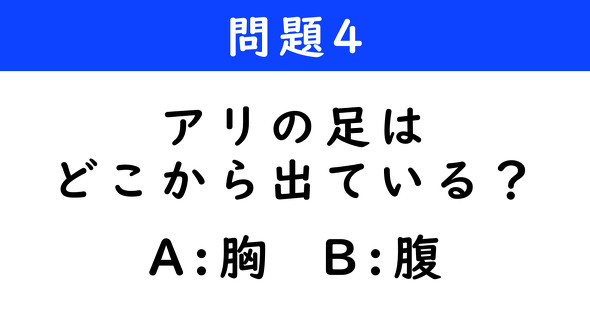 ねとらぼ　2択クイズ　ダンジョン