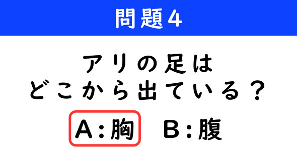 ねとらぼ　2択クイズ　ダンジョン