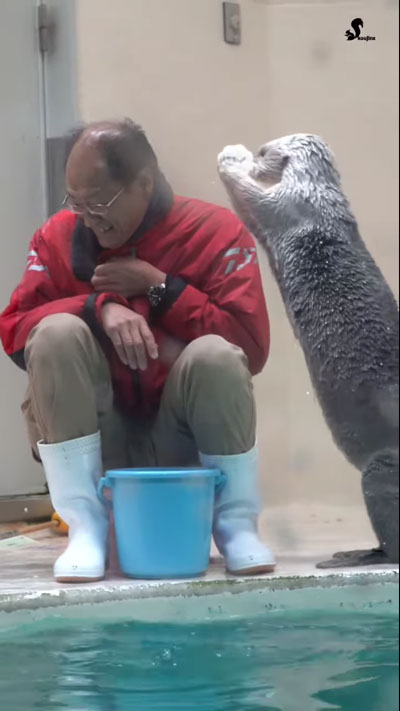 ラッコが飼育員さんの肩をトントン