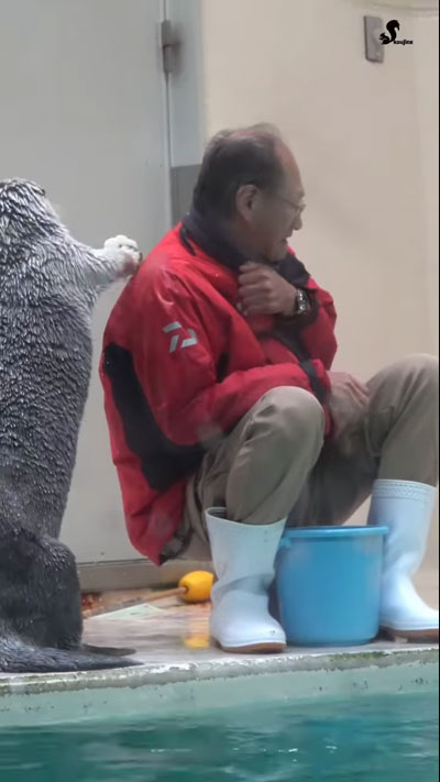 ラッコが飼育員さんの肩をトントン