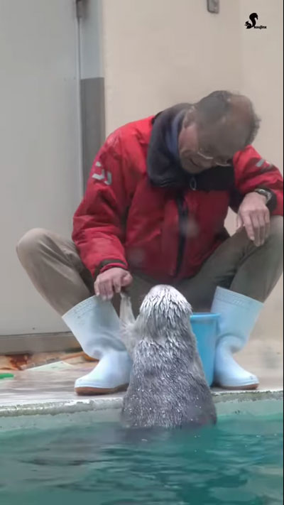 飼育員さんとラッコがハイタッチ