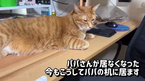 待ち続けるエビちゃん