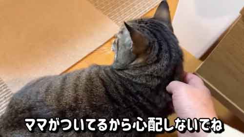 抱っこするママさん