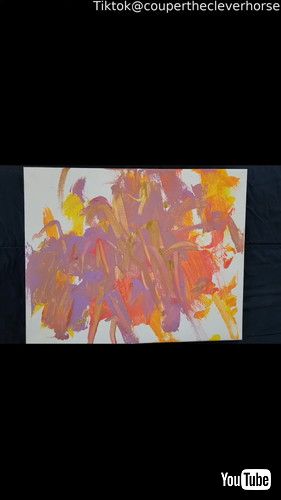 「Horse Paints Heavenly Sunset || ViralHog」