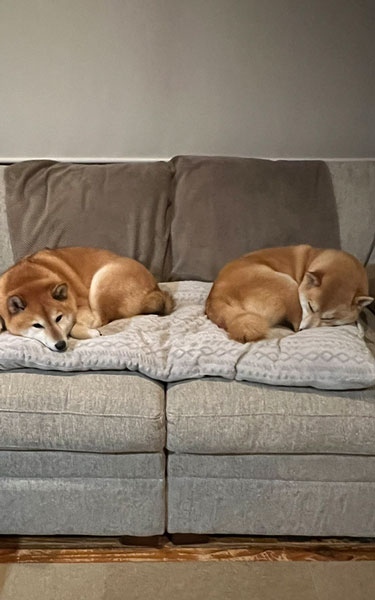 右巻きと左巻き