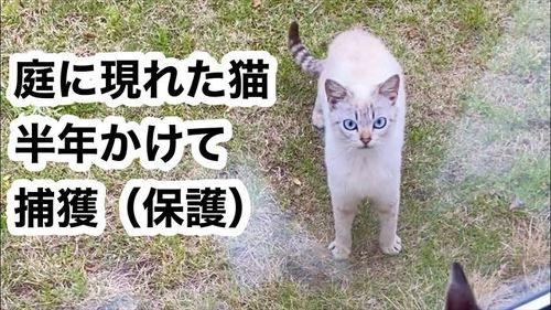 おすすめ